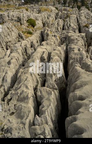 Pavimentazione in pietra calcarea sul col de la Pierre Saint-Martin. Pirenei, Francia. Foto Stock