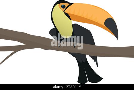 Illustrazione vettoriale di un toucan seduto su un ramo, isolato su uno sfondo bianco Foto Stock