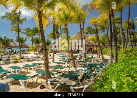 Palm Beach, Oranjestad, Aruba - Cabanas e lettini sulla spiaggia Foto Stock