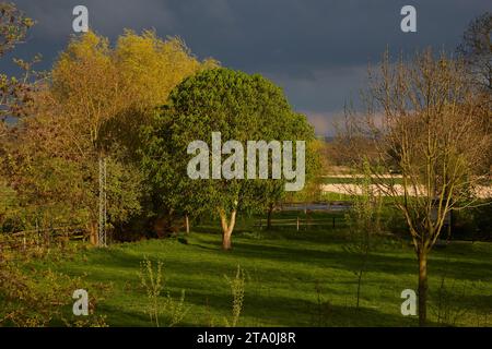 kreis soest, kreis soest in bildern, landkreis soest, nrw, deutschland, tiere, pflanzen, architektur, blumen, lippeauen, naturfotografie, landschaft Foto Stock