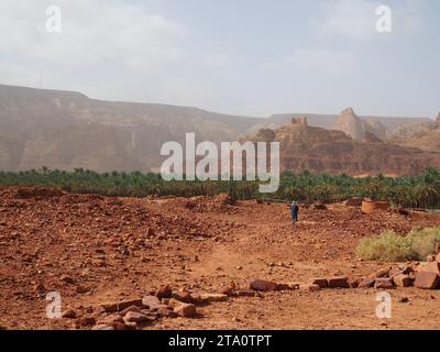 Tombe di leoni di Dadan, Alula, Arabia Saudita Foto Stock