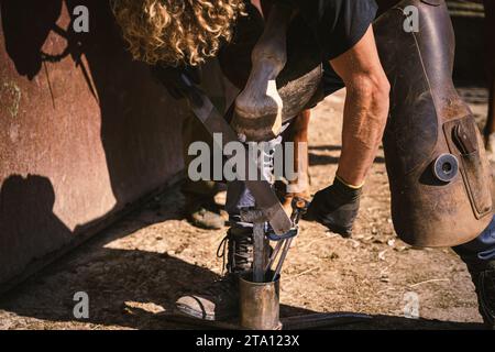 La fattoria sta preparando lo zoccolo per le racchette da cavallo. Lui rimuove, raspa fuori il muro in eccesso dello zoccolo. Forma il tronchetto del chiodo con una raspa per zoccoli. Foto Stock