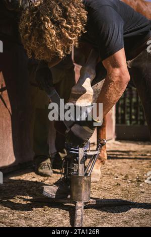 La fattoria sta preparando lo zoccolo per le racchette da cavallo. Lui rimuove, raspa fuori il muro in eccesso dello zoccolo. Forma il tronchetto del chiodo con una raspa per zoccoli. Foto Stock