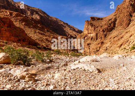 Pendici rocciosi di colore rosso della gola di Todra nelle montagne dell'alto Atlante. Uno dei posti più belli del Marocco. Tinerhir, gola di Todra, Marocco, Africa Foto Stock