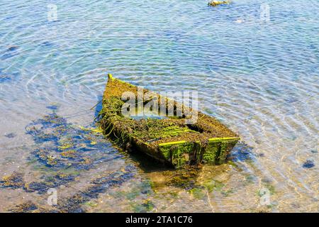 Vecchia barca overgrown, sull'acqua Combarro, Spagna, Galizia Foto Stock