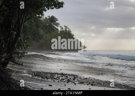 Anse couleuvre, Nord de la Martinique, plages les Plus sauvages de l'île. Sable noir volcanique et nature exubérante Martinica, Antille Foto Stock