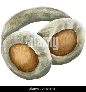 Immagine acquerello cuffie auricolari in pelliccia soffice blu beige cuffie calde, cuffie protettive soffici per l'uso in climi freddi, accessorio. Oggetto singolo isolato su W Foto Stock