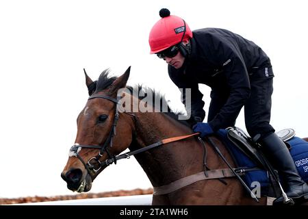 Foto del file datata 28-02-2023 di Love Envoi, che Harry Fry ha confermato affronterà Constitution Hill nel BetMGM Fighting Fifth hurdle a Newcastle sabato. Data di emissione: Martedì 28 novembre 2023. Foto Stock