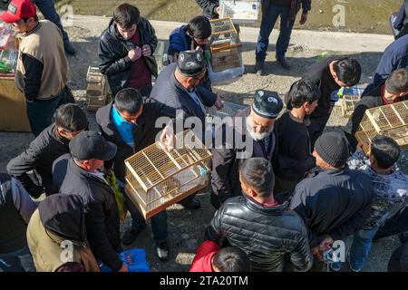Istaravshan, Tagikistan - 26 novembre 2023: Venditori di uccelli presso il mercato centrale di Istaravshan, Tagikistan. Foto Stock