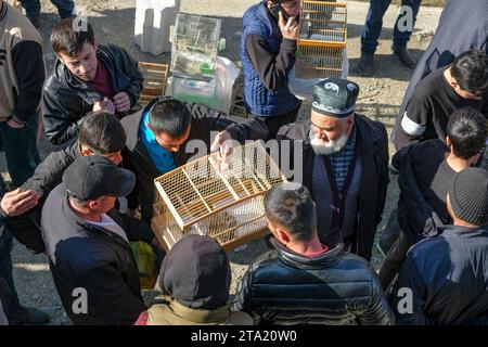 Istaravshan, Tagikistan - 26 novembre 2023: Venditori di uccelli presso il mercato centrale di Istaravshan, Tagikistan. Foto Stock