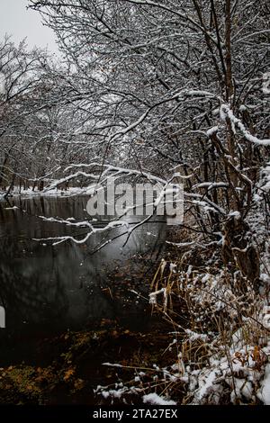 Nel tardo autunno Aux Sable Creek scorre attraverso una foresta ricoperta di neve, Baker Forest Preserve, Kendall County, Illinois Foto Stock