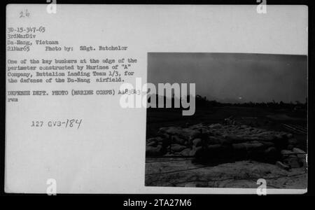 I membri della compagnia 'A', Battalion Landing Team 1/3, della 3rd Marine Division, costruiscono un bunker chiave ai margini del perimetro dell'aeroporto di da-Nang in Vietnam il 21 marzo 1965. Questa immagine, scattata da SSgt. Batchelor, mostra gli sforzi compiuti dai Marines per difendere l'aeroporto. (REPARTO DIFESA. FOTO - CORPO MARINO) Foto Stock