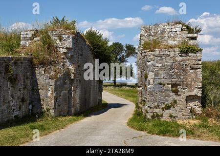 Rovine della cittadella Chateau-d'Oleron, le Chateau-d'Oleron, Ile d'Oleron, Charente-Maritime, Nouvelle-Aquitaine, Francia Foto Stock