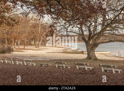 Panche vuote di cemento sul lato del lago deserto circondate da foglie autunnali cadute Foto Stock