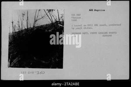 Un tunnel sulla collina 881 sud protetto da picchetti di punji, come si vede in questa foto del 1966. Questa immagine dà uno sguardo alla complessa rete di gallerie e grotte utilizzate dai Viet Cong in Vietnam durante la guerra. DIPARTIMENTO DIFESA FOTO (CORPO MARINO) MIS A194149. Foto Stock