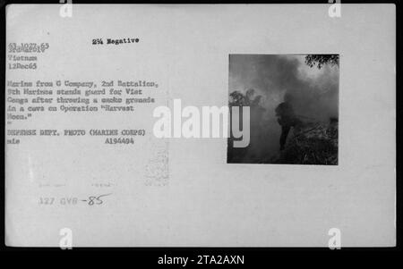 Un Marine della G Company, 2nd Battalion, 9th Marines, sta di guardia vicino a una grotta dopo aver lanciato una granata fumogena durante l'operazione 'Harvest Hoon' il 12 dicembre 1965. Il Marine stava cercando Viet Congs durante i combattimenti in Vietnam. Fotografia scattata dal corpo dei Marines del Dipartimento della difesa. Foto Stock