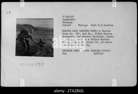 Durante l'operazione Union II del 1 giugno 1967, un Marine di Co. 'K', 3rd BN., Fifth Marine Regiment, 1st Marine Division, fornisce assistenza ad un altro Marine. La foto è stata scattata da LCpl M.J. Smedley, e mostra la collaborazione e il supporto tra i Marines durante i combattimenti in Vietnam. DIPARTIMENTO DIFESA FOTO (CORPO MARINO) FHM A370225. Foto Stock