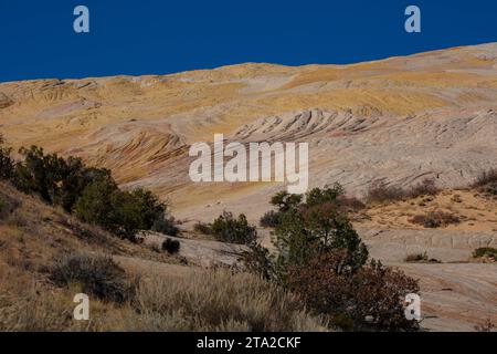 Paesaggi americani classici: East Kaibab Monocline: Un'area panoramica di strati sedimentari capovolti all'interno della Grand Staircase NM Foto Stock