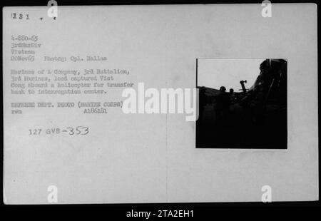 I marines della compagnia L, 3rd Battalion, 3rd Marines, caricano i membri catturati dei Viet Cong su un elicottero per essere trasferiti in un centro di interrogatori in Vietnam il 20 novembre 1965, come parte delle attività militari americane durante la guerra del Vietnam. Foto Stock