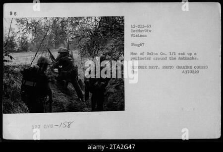 I Marines della Delta Company, 1/1 Battalion costruirono un perimetro difensivo intorno agli Amtracks durante le operazioni di combattimento in Vietnam il 3 agosto 1967. L'immagine mostra gli uomini della compagnia in azione. Fotografia (corpo dei Marines) A370220. Foto Stock