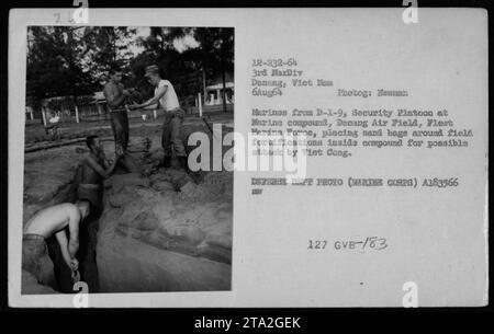 I marines del D-1-9, Security Platoon al Danang Air Field, Fleet Marine Force, sono visti nella fotografia che colloca sacchi di sabbia intorno alle fortificazioni del campo all'interno del loro complesso. Questa azione difensiva è stata intrapresa per preparare un possibile attacco da parte dei Viet Cong durante la guerra del Vietnam nell'agosto 1964. Foto Stock