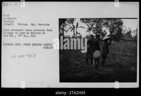 I Viet Cong sospettano e prigionieri catturati dai Marines l'11 maggio 1965, nella 3rd Marine Division del Vietnam. La foto, scattata dal sergente Reynolds, raffigura personale maschile del villaggio di Lemy catturato come prigionieri dai Marines del 2° plotone, compagnia "G", 2/3. Questa immagine è una fotografia ufficiale del Dipartimento della difesa (corpo dei Marines) etichettata A184172 127 GVB-353. Foto Stock