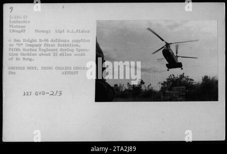 Un elicottero del corpo dei Marines degli Stati Uniti, un Ses Knight H-46, che consegnava rifornimenti alla compagnia "D" del First Battalion, Fifth Marine Regiment durante l'operazione Cochise. La foto è stata scattata il 17 agosto 1967, circa 25 miglia a sud di da Nang in Vietnam. Questa immagine fa parte di una collezione catalogata come A370357 127 GVB-2/3 dal Dipartimento della difesa. Foto Stock