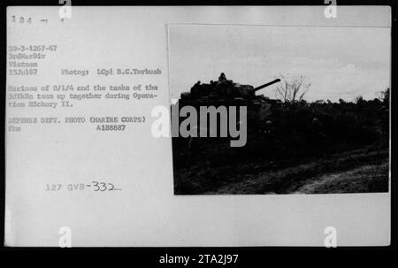 I Marines della Bravo Company, 1st Battalion, 4th Marines uniscono le forze con i carri armati del 3d Tank Battalion durante l'operazione Hickory II il 15 luglio 1967, in Vietnam. Questa fotografia cattura la collaborazione tra fanteria e unità corazzate mentre lavorano insieme in combattimento. (Fotografo: LCpl B.C. Torbush) Foto Stock