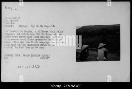 US Marine Pvt. Freddie J. Benia, un fuciliere della Delta Company, 1st Battalion, 9th Marines, sta a guardia di tre sospetti Viet Cong catturati durante una ricerca e un'operazione chiara il 27 giugno 1965. Questa operazione segnò la prima operazione di dimensioni di una compagnia da quando il battaglione arrivò in Vietnam il 16 giugno. La foto è stata scattata dal sergente R. R. Baynolds. Foto Stock