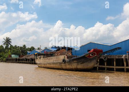 Delta del Mekong, Vietnam Foto Stock