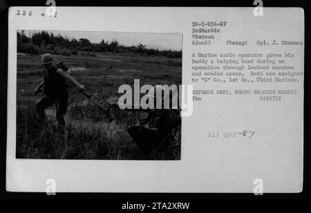 Durante un'operazione militare in Vietnam, nel giugno 1967, un operatore radio marino assiste il suo compagno mentre naviga attraverso paludi di pianura e aree boschive. Entrambi i soldati fanno parte della compagnia C, 1st Battalion, Third Marines. Questa foto è stata scattata dal caporale J. Stevens, del Dipartimento della difesa degli Stati Uniti. Foto Stock