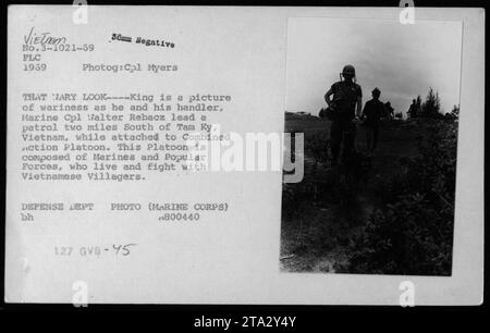 Il capitano Walter Rebacz e il suo cane King sembrano vigili mentre guidano una pattuglia a sud di Tam Ky, in Vietnam, nel 1969. Fanno parte di un plotone d'azione combinato, composto da Marines e forze popolari che lavorano a fianco degli abitanti del villaggio vietnamiti. Questa fotografia cattura la prudenza e la vigilanza richieste durante le attività militari nella guerra del Vietnam. (Foto: CPL Myers, Dipartimento della difesa, corpo dei Marines) Foto Stock