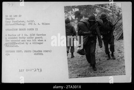 Un Marine della i Co. 3/28 trasporta il suo compagno ferito sotto guardia durante l'evacuazione medica il 21 giugno 1967 a Camp Pendleton, California. Il soldato ferito fu ferito da una granata che fu accidentalmente fatta esplodere da un abitante locale. Questa foto è stata scattata durante l'OPERAZIONE BEACH CABIN II Foto Stock