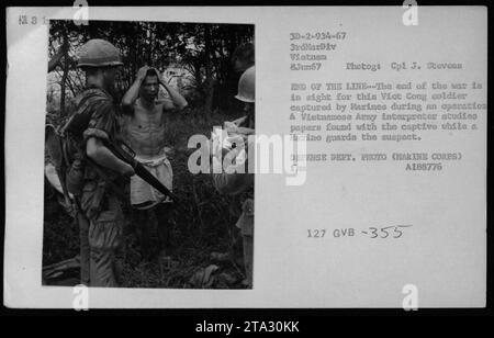 Un soldato Viet Cong catturato è sorvegliato da un Marine durante un'operazione in Vietnam l'8 giugno 1967. Un interprete dell'esercito vietnamita può essere visto mentre studia i documenti trovati con il sospetto. Questa immagine cattura un momento di progresso per le forze statunitensi mentre la fine della guerra si avvicina. Foto del Dipartimento della difesa (corpo dei Marines). Foto Stock