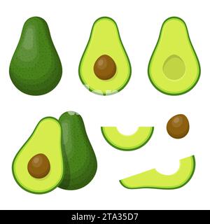 Set di avocado isolato su sfondo bianco. Frutta o verdura intera verde brillante, metà, fette, con semi grandi. Frutta estiva per una sana salute Illustrazione Vettoriale