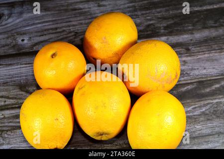 L'arancia dell'ombelico, un'arancia è un frutto di varie specie di agrumi della famiglia Rutaceae, un ibrido tra pomelo (Citrus maxima) e mandarino (Citru Foto Stock