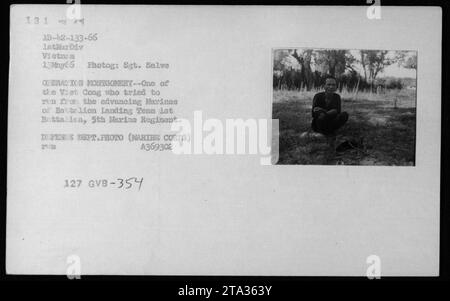 Un gruppo di sospettati e prigionieri Viet Cong catturati durante l'operazione Montgomery. La foto mostra uno dei Viet Cong che tenta di eludere i Marines in avanzata dal 1st Battalion, 5th Marine Regiment della 1st Marine Division. Questa immagine è stata scattata il 13 maggio 1966 dal sergente Salve. [Riferimento immagine: Fotografia del Dipartimento della difesa (corpo dei Marines) A369302, 127 GVB-354] Foto Stock