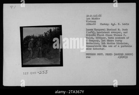 Il caporale Harland M. Bush e il soldato Thomas P. Welch della C Company, 1st Shore Party Battalion, 1st Marine Division, dimostrano l'uso di un rilevatore di mine portatile durante le attività di dragaggio e smaltimento il 12 novembre 1966, in Vietnam. La loro foto è stata scattata dal sergente E. Levis del Dipartimento della difesa. Foto Stock