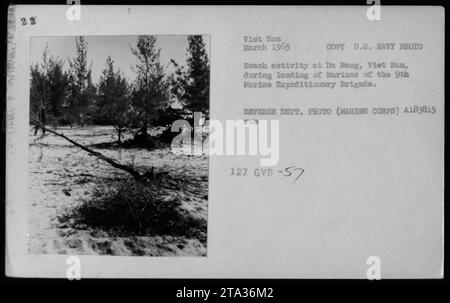 I Marine STATUNITENSI della 9th Marine Expeditionary Brigade sono visti condurre attività sulla spiaggia a da Nang, in Vietnam, durante le loro operazioni di sbarco nel marzo 1965. La fotografia cattura le attività militari delle forze americane durante la guerra del Vietnam. Foto Stock