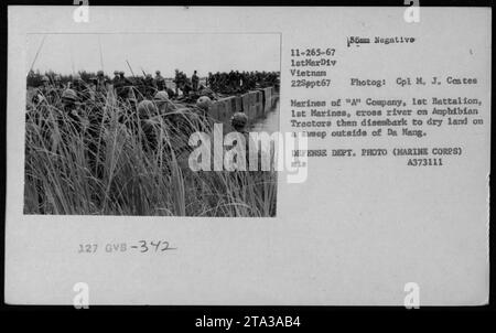 I Marines della compagnia 'A', 1st Battalion, 1st Marines, sono visti attraversare un fiume su Amphibian Tractors, noto anche come Landing Vehicle Tracked (LVT) o Landing Vehicle Tracked Personnel (LVTP), durante una scansione all'esterno di da Nang, Vietnam. Questa foto è stata scattata il 22 settembre 1967 da un fotografo di nome J. Cestes, appartenente al corpo fotografico del Dipartimento della difesa. Fonte: DIPARTIMENTO DIFESA. FOTO (CORPO MARINO) MIS A373111. Foto Stock