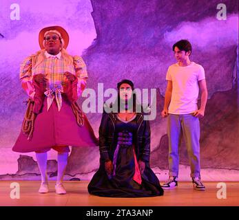 Questo Natale vola sul tuo tappeto magico fino a East London, mentre il panto Aladdin del 2023 dell'Hackney Empire ci porta in un nuovo mondo magico! Questa classica storia di un ragazzo che trova una lampada magica in grado di realizzare tutti i suoi desideri è divertente e ribelle, con costumi ed effetti vibranti, risate incontrollabili, canzoni accattivanti e soprattutto: Partecipazione del pubblico. Foto Stock