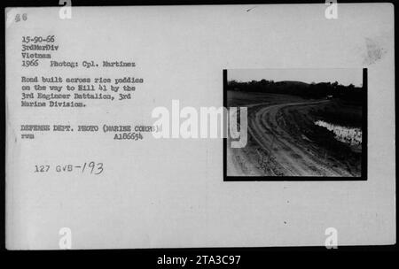 Nel 1966, il 3rd Engineer Battalion della 3rd Marine Division in Vietnam costruì una strada attraverso le risaie per raggiungere il Bill 41. Questa fotografia, scattata dal comandante Martinez, mostra gli ingegneri americani al lavoro durante la guerra del Vietnam. Si tratta di una foto del Dipartimento della difesa con il numero di riferimento A186654 e il codice 127 GVB-193. Foto Stock