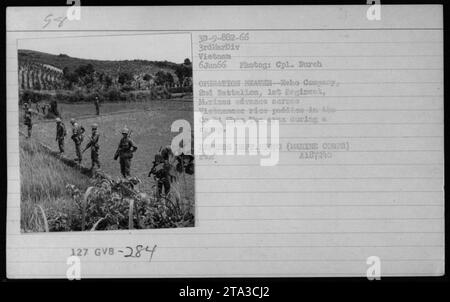 Echo Company, 2nd Battalion, 1st Regiment, Marines che conducono una pattuglia durante l'operazione Braver. Nella foto, scattata il 6 giugno 1966 a Co Bi Than Tan, in Vietnam, i Marines avanzano attraverso le risaie durante una scansione. Fotografo: CPL. Burch. (Foto del Dipartimento della difesa/corpo dei Marines) A187240. Foto Stock