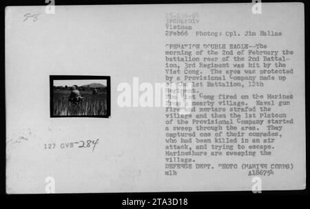 I Marines conducono una missione attraverso un villaggio in Vietnam durante l'operazione Double Eagle il 2 febbraio 1966. Il villaggio aveva lanciato un attacco al 2nd Battalion, 3rd Regiment, che era sostenuto da una compagnia provvisoria del 1st Battalion, 12th Regiment. I Marines catturarono un compagno caduto che aveva cercato di fuggire. Foto Stock