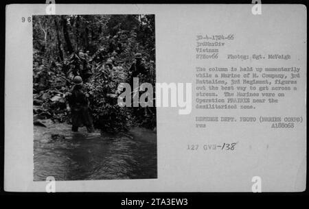 Marine from M. Company of the 3rd Battalion, 3rd Regiment, si ferma per pianificare l'attraversamento di un torrente durante l'operazione PRAIRIE il 27 novembre 1966. L'operazione era vicino alla zona smilitarizzata in Vietnam. Fotografia scattata dal sergente McVeigh, Dipartimento della difesa. (CORPO DEI MARINES) A188068 XX 127 GVB-/38 Foto Stock