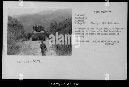 Un Marine of 2nd Battalion, 7th Marines, cammina di fronte a un trattore anfibio 3rd su una strada situata a 10 miglia a nord di De Hang in Vietnam il 13 settembre 1967. L'immagine è catturata dal Cpl C.E. Aker, che riflette le attività militari americane durante la guerra del Vietnam. Foto Stock