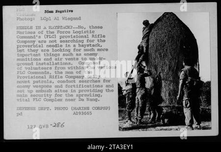 La Provisional Rifle Company dei Marines del Force Logistic Command condusse pattuglie nel 1969, alla ricerca di munizioni nemiche e installazioni sotterranee fortificate. Composti da volontari provenienti dall'interno dei comandi FLC, forniscono una sicurezza vitale per il complesso FLC vicino a da Nang. Crediti immagine: LCpl al Wiegand. Foto del Dipartimento della difesa (corpo dei Marines). A193665 127 GVB-286. Foto Stock