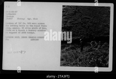 I soldati della compagnia 2/9, appartenenti alla 3rd Marine Division, si spostano attraverso le dolci colline dell'area delle Tombe reali, a circa 20 miglia a sud di Hoo, in Vietnam. Questa foto, scattata il 5 febbraio 1967 dal sergente Shaw Karines, li ritrae in una missione di ricerca e distruzione a sostegno delle truppe dell'ARVN. Foto Stock