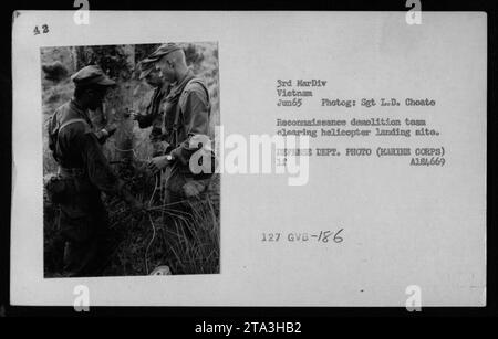 Una squadra di demolizione da ricognizione della 3rd Marine Division viene mostrata mentre pulisce un sito di atterraggio per elicotteri in Vietnam nel giugno 1965. La squadra sta preparando l'area per l'atterraggio e il decollo sicuri degli elicotteri. Questa fotografia è una foto ufficiale del Dipartimento della difesa scattata dal Sgt L.D. Choate, e il numero di riferimento è A184669 127 GVB-186. Foto Stock