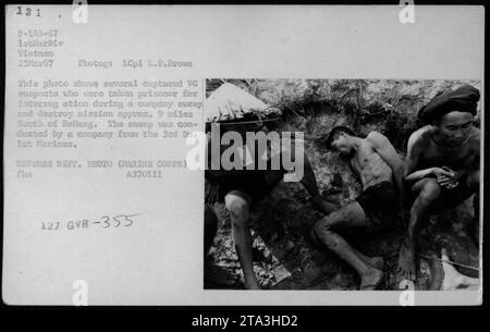 Una foto scattata il 25 marzo 1967, durante la guerra del Vietnam mostra diversi sospettati e prigionieri Viet Cong. I prigionieri furono catturati da una compagnia del 3rd Battalion del 1st Marines durante una missione di sweep and Destroy. Sono stati presi per essere interrogati a circa 9 miglia a sud di Danang. Questa fotografia è stata scattata da LCpl L.P.Brown e fa parte del Dipartimento della difesa Raccolta di foto. (Fonte: fhm A370111 127 GVB-355) Foto Stock